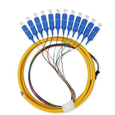 Αγορά 12 Core Single Mode SC Fiber Pigtail Cable for Networks Communication System Flexible σε απευθείας σύνδεση κατασκευή